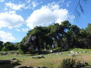 Epidavros, bois sacré